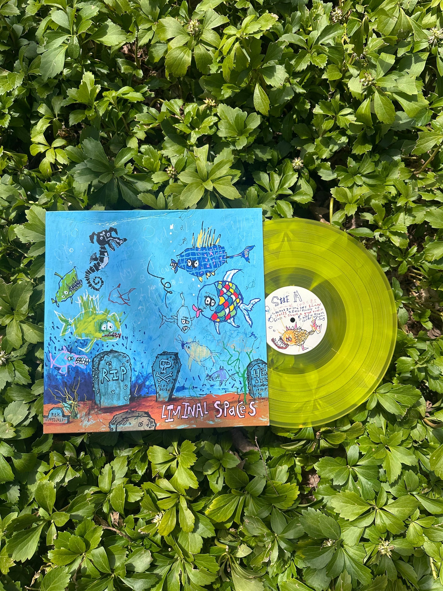 Liminal Spaces Vinyl