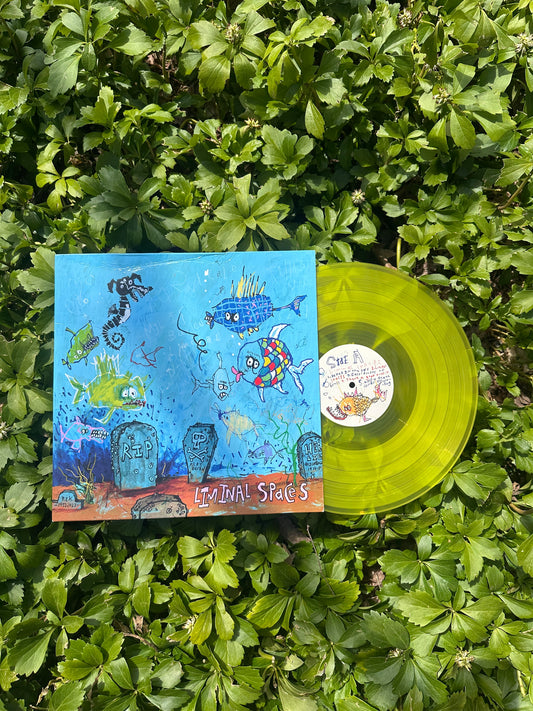 Liminal Spaces Vinyl