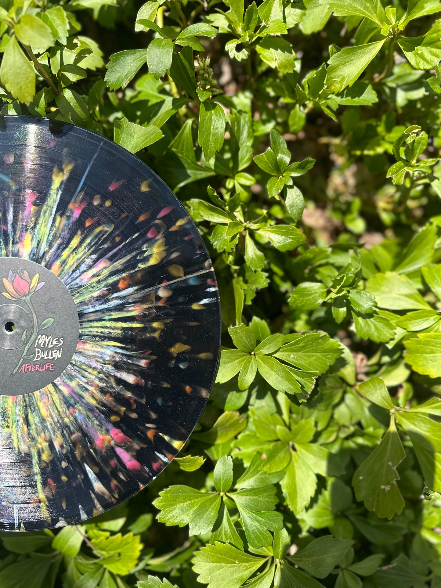 Afterlife Vinyl **Splatter edition**